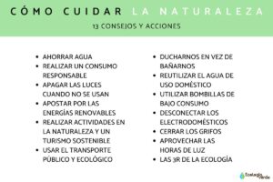 Qué Son Las Tres R Y Por Qué Son Importantes Para El Medio Ambiente