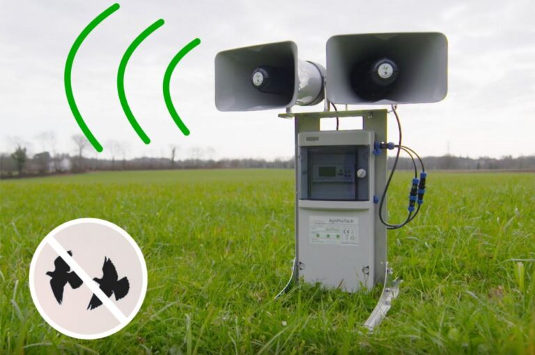 Cómo Funcionan Los Equipos De Ultrasonido Para Ahuyentar Aves