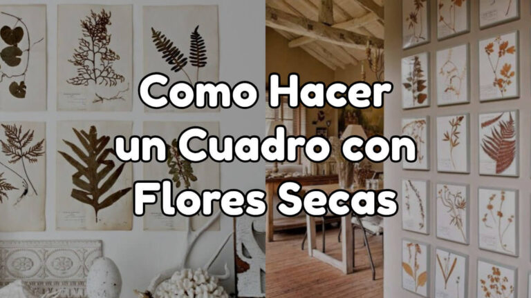 Cómo Hacer Cuadros Con Flores Secas Para Decorar Tu Hogar