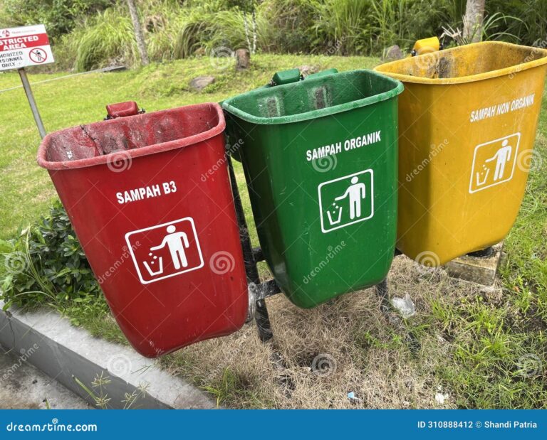 Cuál Es La Diferencia Entre Botes De Basura Orgánica E Inorgánica 2 contenedores reciclaje basura organica e inorganica