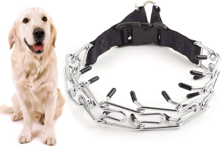 Cuál es el Mejor Collar de Adiestramiento Canino para Tu Perro 7 Cuál es el Mejor Collar de Adiestramiento Canino para Tu Perro