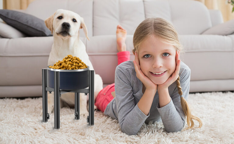 Cuál es la mejor base para platos de perro y cómo elegirla 6 Cuál es la mejor base para platos de perro y cómo elegirla