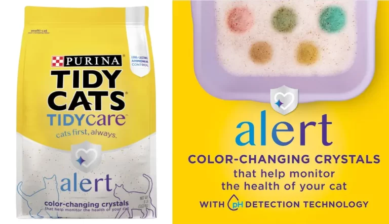 Cuáles Son Las Opiniones Más Comunes Sobre Arena Tidy Cats 8 Cuáles Son Las Opiniones Más Comunes Sobre Arena Tidy Cats