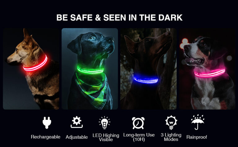Por Qué Elegir Un Collar Con Luces Para La Seguridad De Tu Perro 7 Por Qué Elegir Un Collar Con Luces Para La Seguridad De Tu Perro