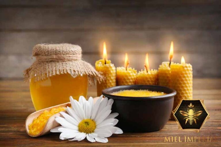 Por qué elegir velas de miel de abeja para tu hogar 8 Por qué elegir velas de miel de abeja para tu hogar