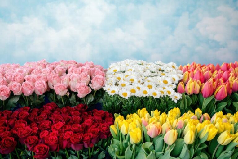 Cómo elegir ramos con tulipanes y rosas para cada ocasión especial