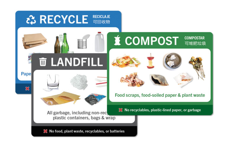 Qué Residuos No Debo Colocar en Una Composta Casera 4 Qué Residuos No Debo Colocar en Una Composta Casera