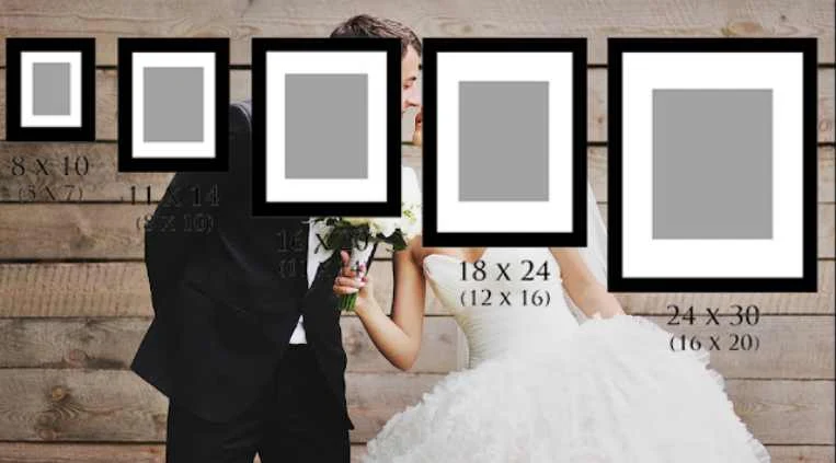 Cuáles Son Los Mejores Sobres Para Gato Para Su Comodidad 8 Cuáles Son Los Mejores Sobres Para Gato Para Su Comodidad